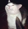 evilmorgan's profile picture