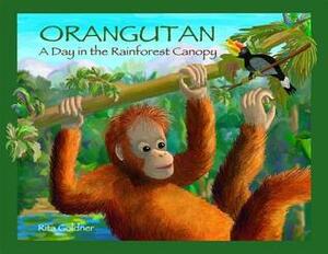 Orangutan: A Day in the Rainforest Canopy by Rita Goldner