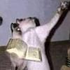 johannabells's profile picture