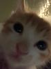 renegadepearl's profile picture