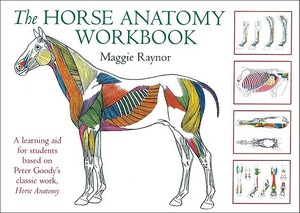 The Horse Anatomy Workbook: A Learning Aid for Students Based on Peter Goody's Classic Work, Horse Anatomy by Maggie Raynor