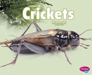 Crickets by Nikki Bruno Clapper