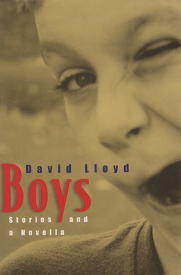 Boys: Stories and a Novella by David Lloyd