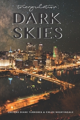 Triangulation: Dark Skies by Mary Soon Lee, Blake Jessop