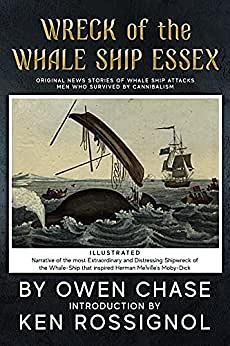 Wreck of the Whale Ship Essex by Owen Chase