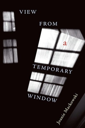 View from a Temporary Window by Joanie Mackowski