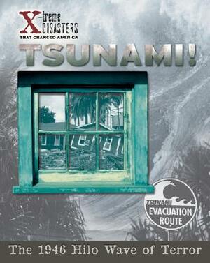 Tsunami! by Scott Ingram