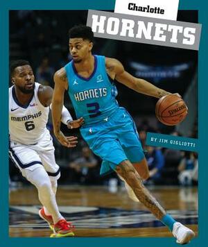 Charlotte Hornets by Jim Gigliotti