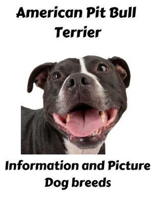 American Pit Bull Terrier Information and Picture: Dog breeds by Eric Lee