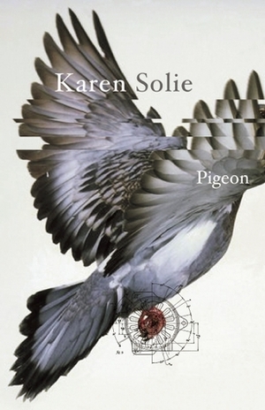 Pigeon by Karen Solie