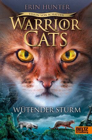 Wütender Sturm by Erin Hunter