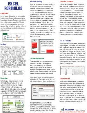 Excel Formulas Laminated Tip Card: Formulas & Functions from Mrexcel by Bill Jelen