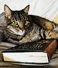 bookishcheryl's profile picture