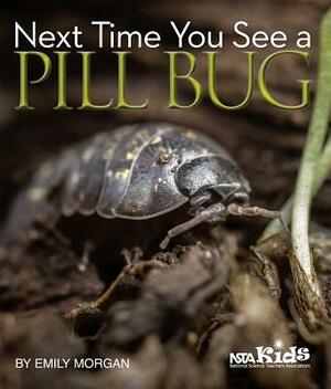 Next Time You See a Pill Bug by Emily Morgan