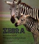 Zebra by Caroline Arnold