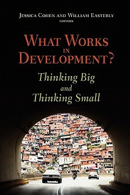 What Works in Development?: Thinking Big and Thinking Small by Jessica Cohen