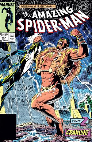 Amazing Spider-Man #293 by J.M. DeMatteis