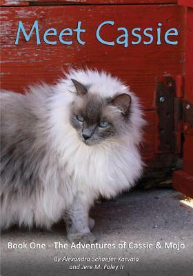 Meet Cassie: Book One - The Adventures of Cassie and Mojo by Jere M. II Foley, Jere M. Foley II