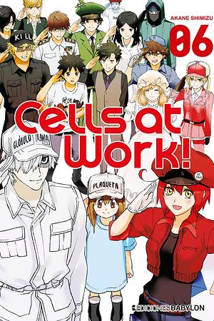Cells at work!, vol. 06 by Akane Shimizu