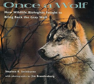 Once a Wolf: How Wildlife Biologists Fought to Bring Back the Gray Wolf by Stephen Swinburne Swinburne