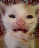 mxmaxwell's profile picture