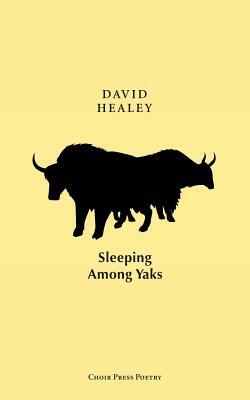 Sleeping Among Yaks by David Healey