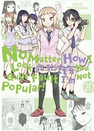 No Matter How I Look at It, It's You Guys' Fault I'm Not Popular!, Vol. 20 by Nico Tanigawa