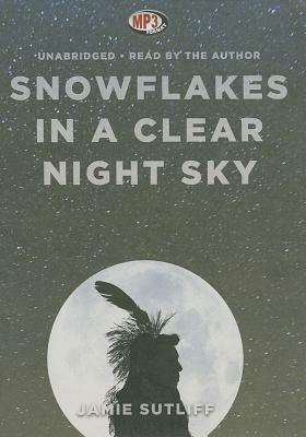 Snowflakes in a Clear Night Sky by 