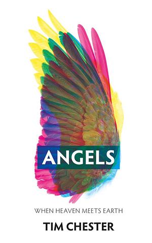 Angels: When Heaven Meets Earth by Tim Chester