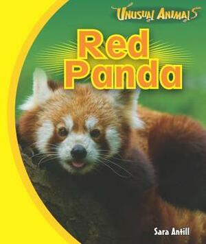 Red Panda by Sara Antill