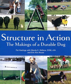 Structure in Action: The Makings of a Durable Dog by Erin Rouse, Pat Hastings, Wendy Wallace