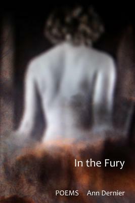 In the Fury by Ann Dernier