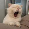 _resun's profile picture