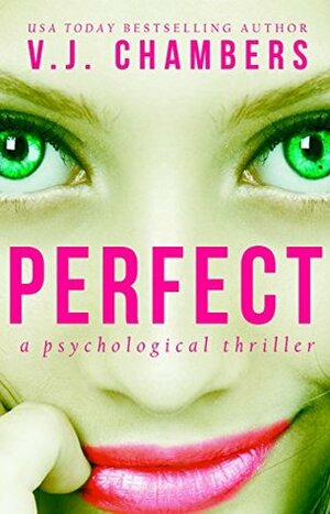 Perfect by V.J. Chambers