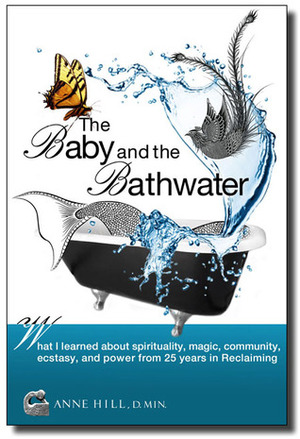 The Baby and the Bathwater by Anne Hill