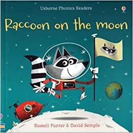 Raccoon on the moon by Russell Punter