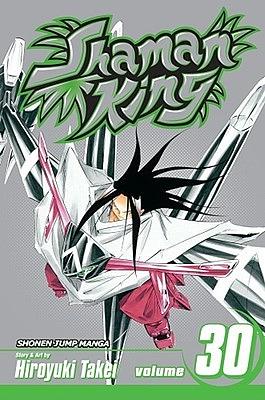 Shaman King, Vol. 30 by Hiroyuki Takei