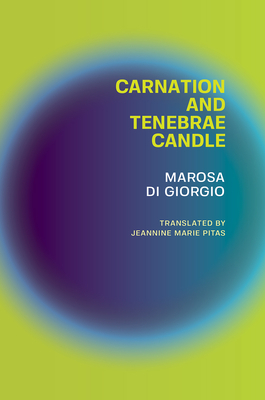 Carnation and Tenebrae Candle by Marosa Di Giorgio