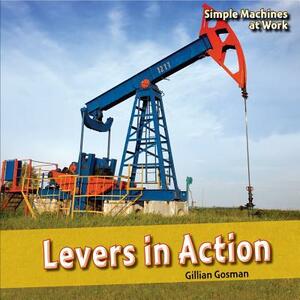 Levers in Action by Gillian Gosman