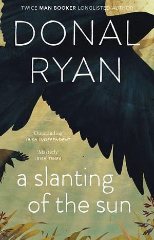 A Slanting of the Sun by Donal Ryan