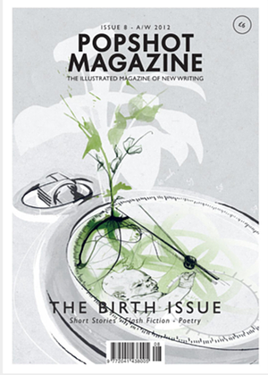 Popshot Magazine: The Birth Issue by Various