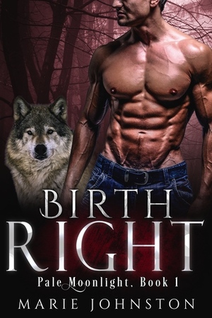 Birthright by Marie Johnston