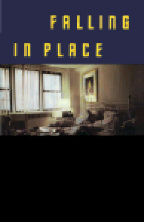 Falling in Place by Ann Beattie, Robin Desser