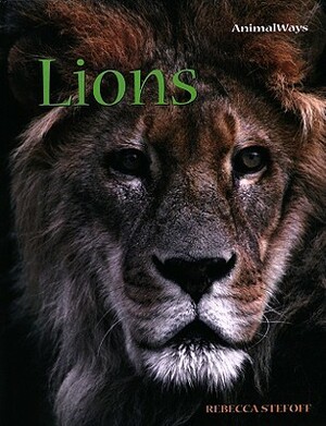 Lions by Rebecca Stefoff