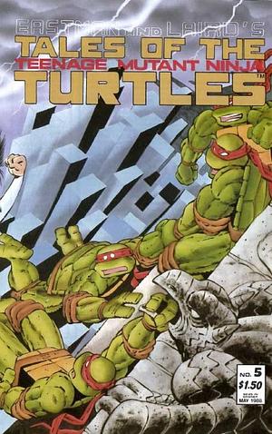 Tales of the Teenage Mutant Ninja Turtles #5 by Jim Lawson, Ryan Brown