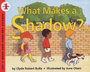 What Makes a Shadow? by Clyde Robert Bulla