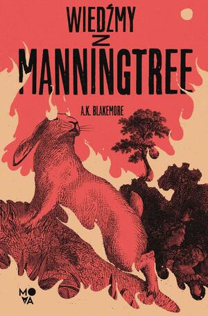Wiedźmy z Manningtree by A.K. Blakemore