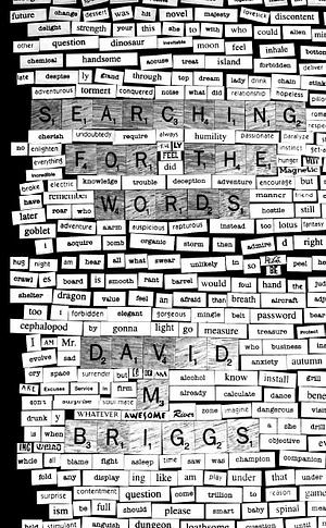 Searching for the Words: Magnet Poems by David M. Briggs