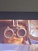 sharxalot's profile picture