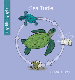 Sea Turtle by Susan H. Gray